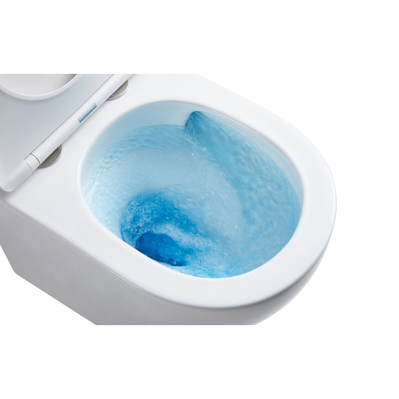 NT-1053GB — AUSTIN Tornado Rimless Toilet Suite with GEBERIT Fittings - Image 2